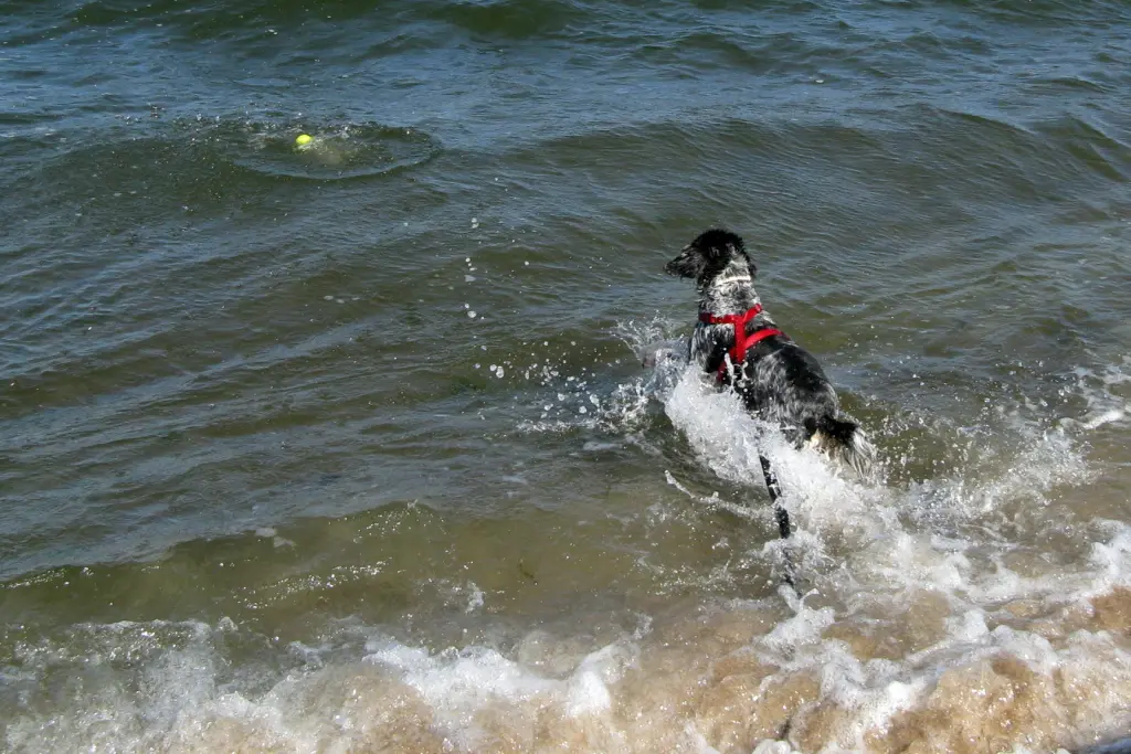 Lottie im Glück - Ostsee