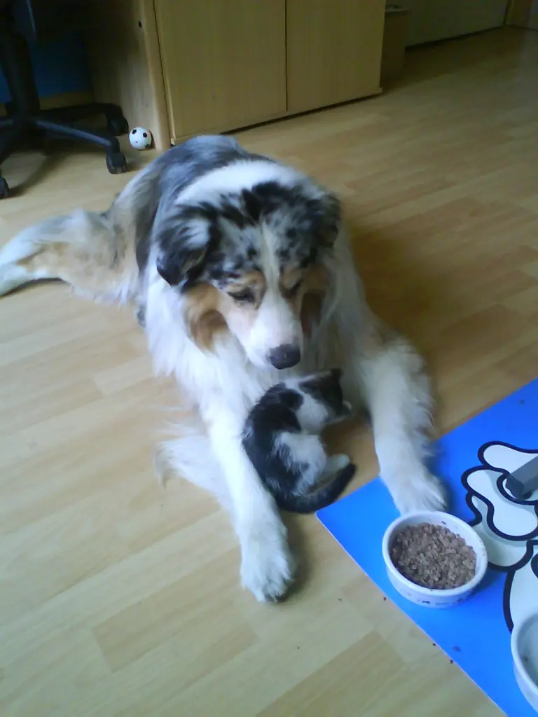Image from Balu
