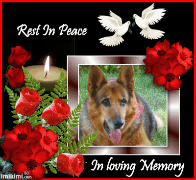 Image from Eicka
