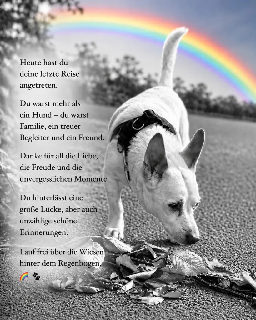 Bild von Coco
