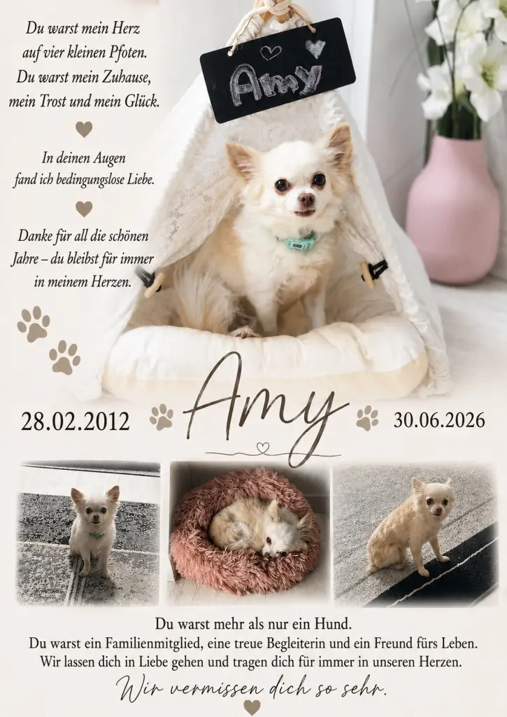 Image from Amy