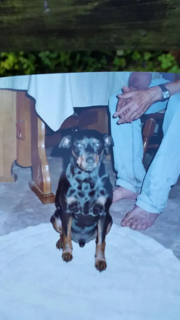 Condolence image of Marga mit Rambo im Herzen