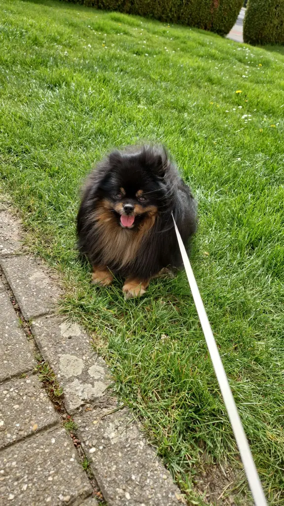 Bild von Yuki