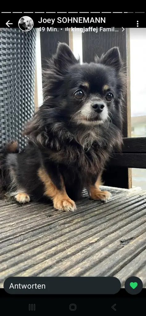 Bild von Chicco