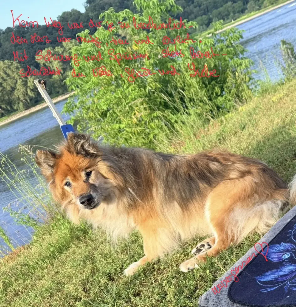 Unser gemeinsamer letzter Urlaub