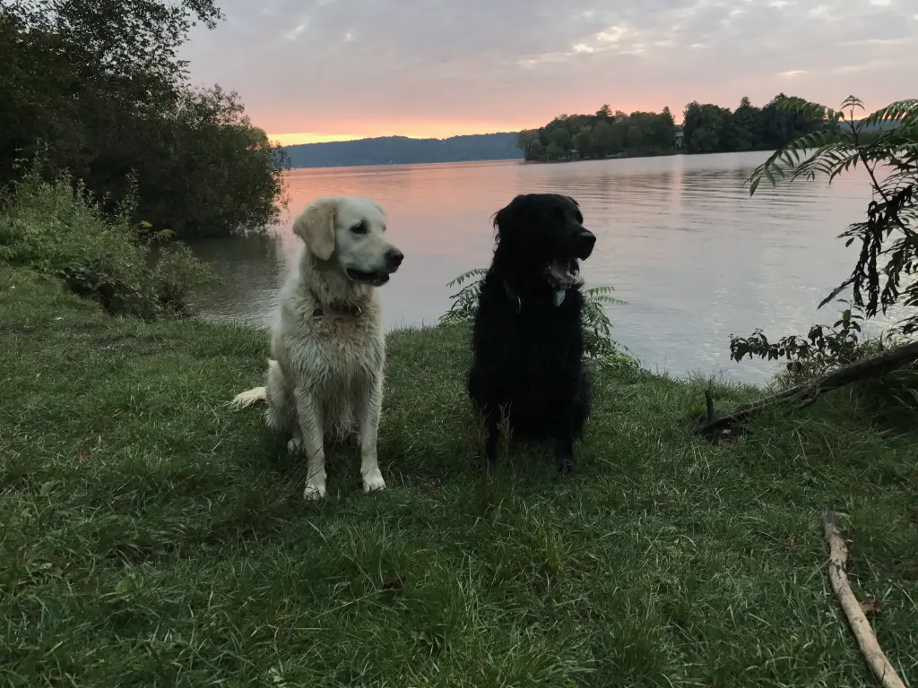 Ein Team