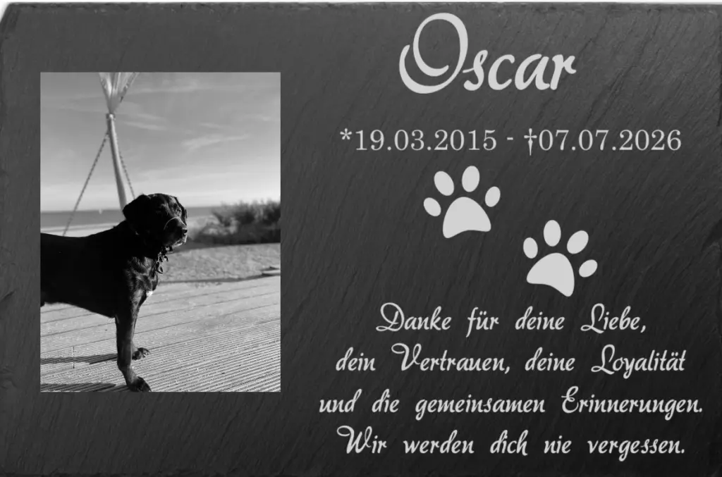 Bild von Oscar