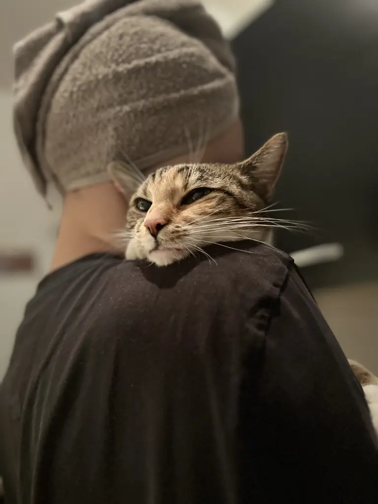 Image from Fluffy