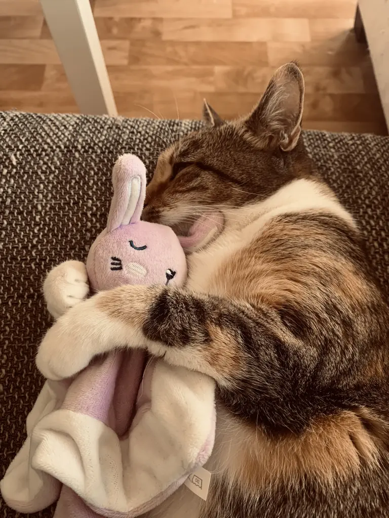 Image from Fluffy