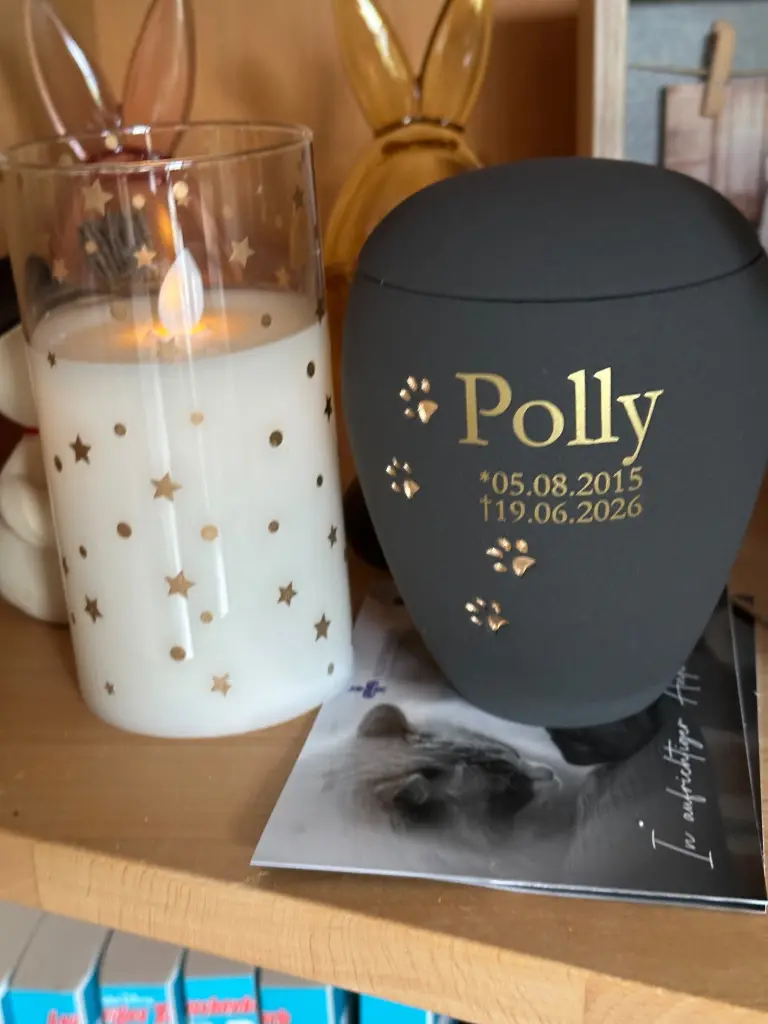 Bild von Polly