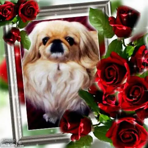 Image from ? meine entzückende Sina ?