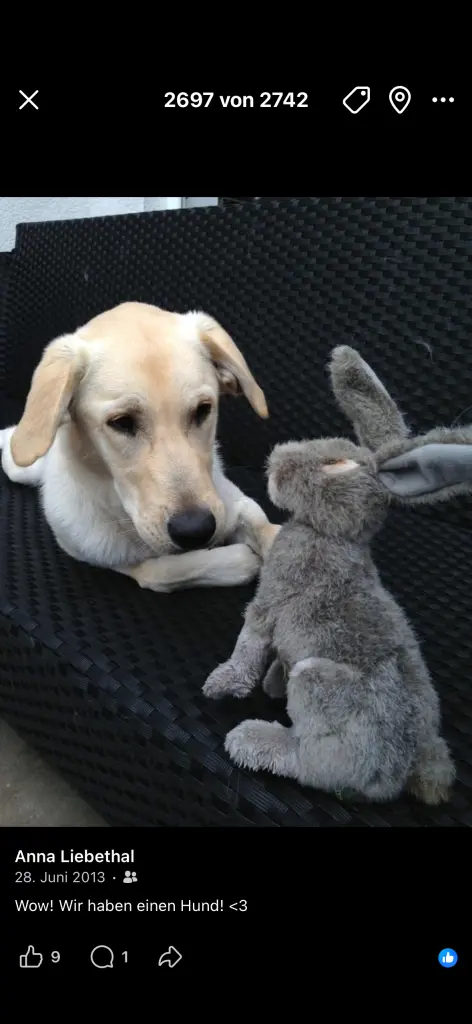 Bild von Milow