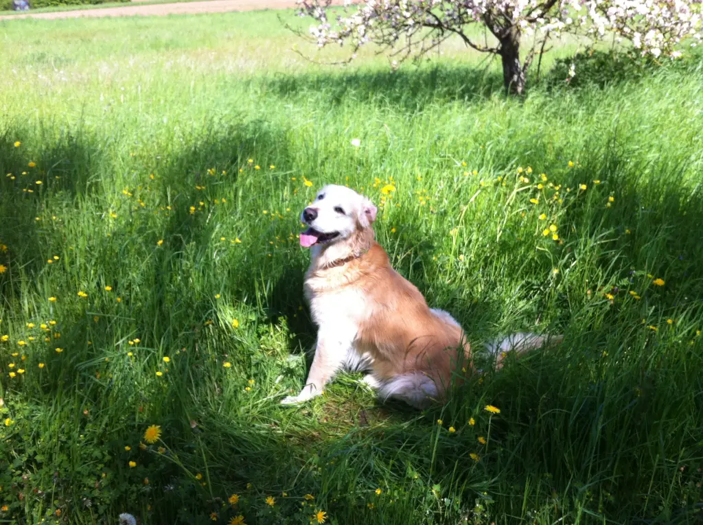 Condolence image of Sabine