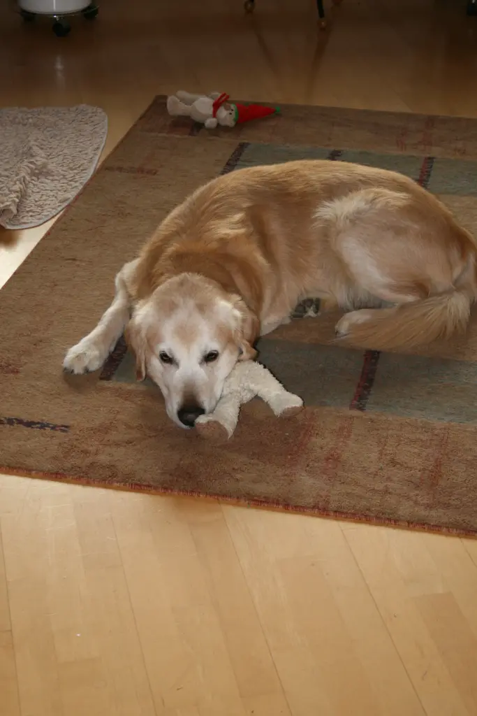 Condolence image of Sabine