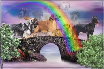 Condolence image of für Rusty
