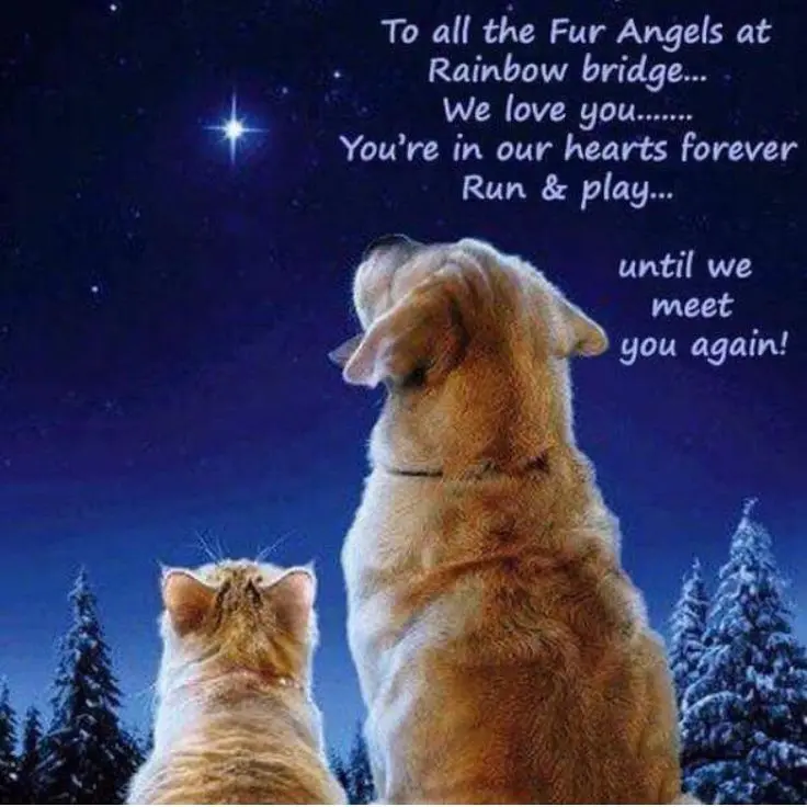 Condolence image of Sabine