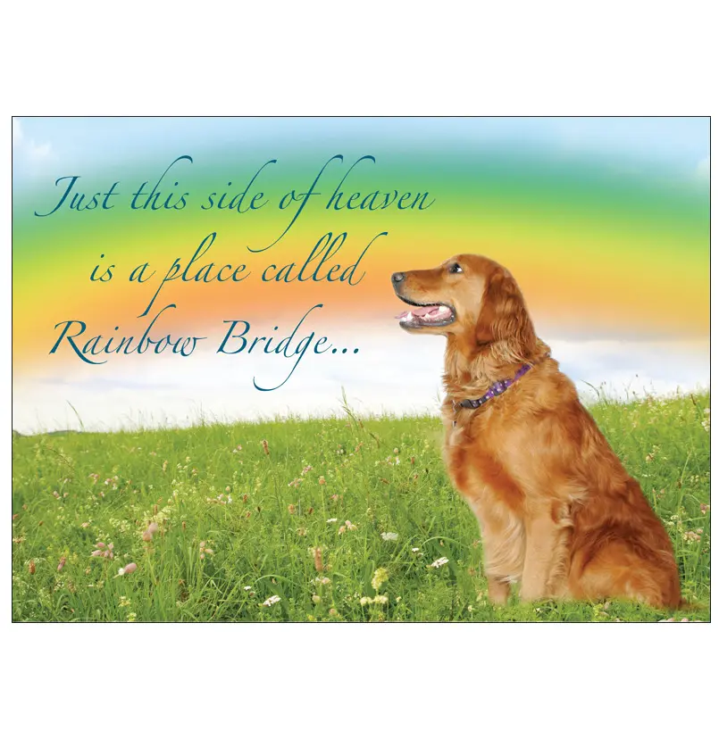 Condolence image of für Rusty