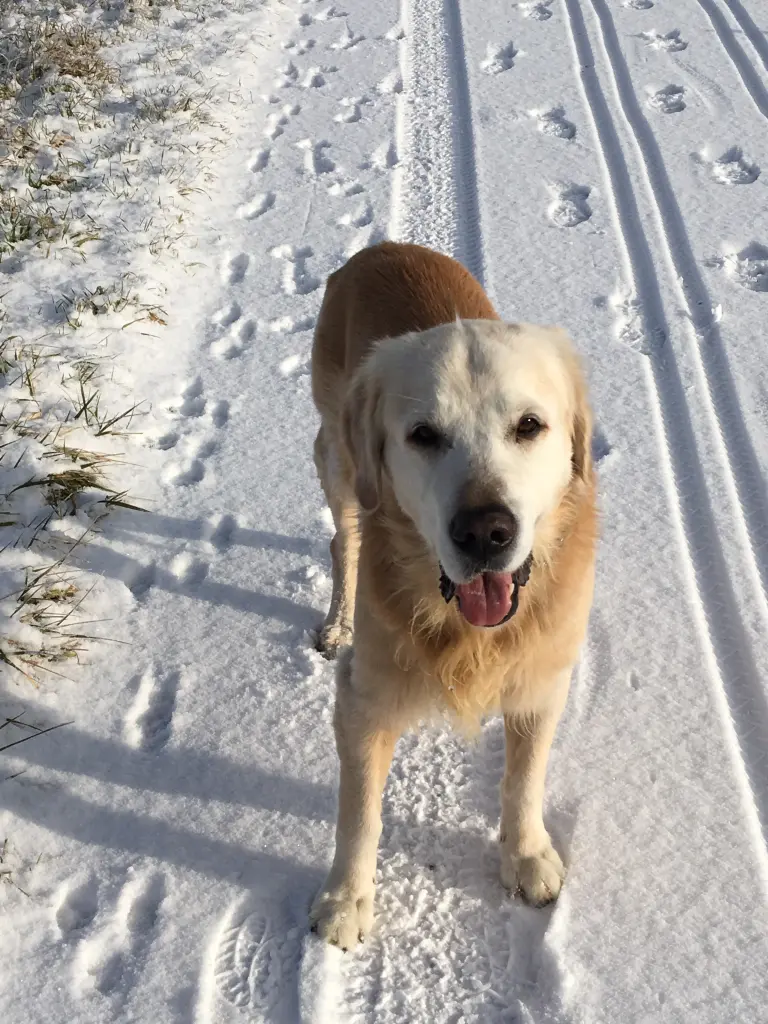 Image from Rusty