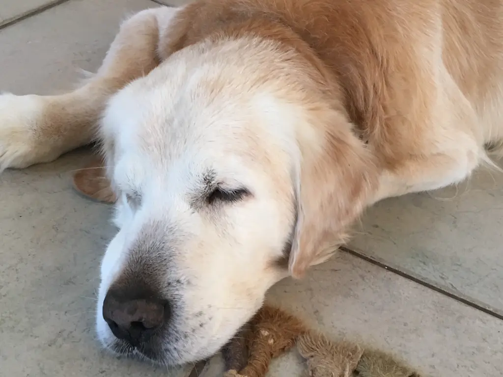 Image from Rusty