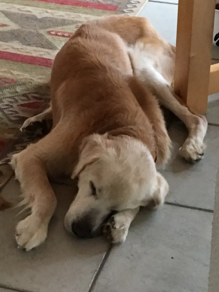 Image from Rusty