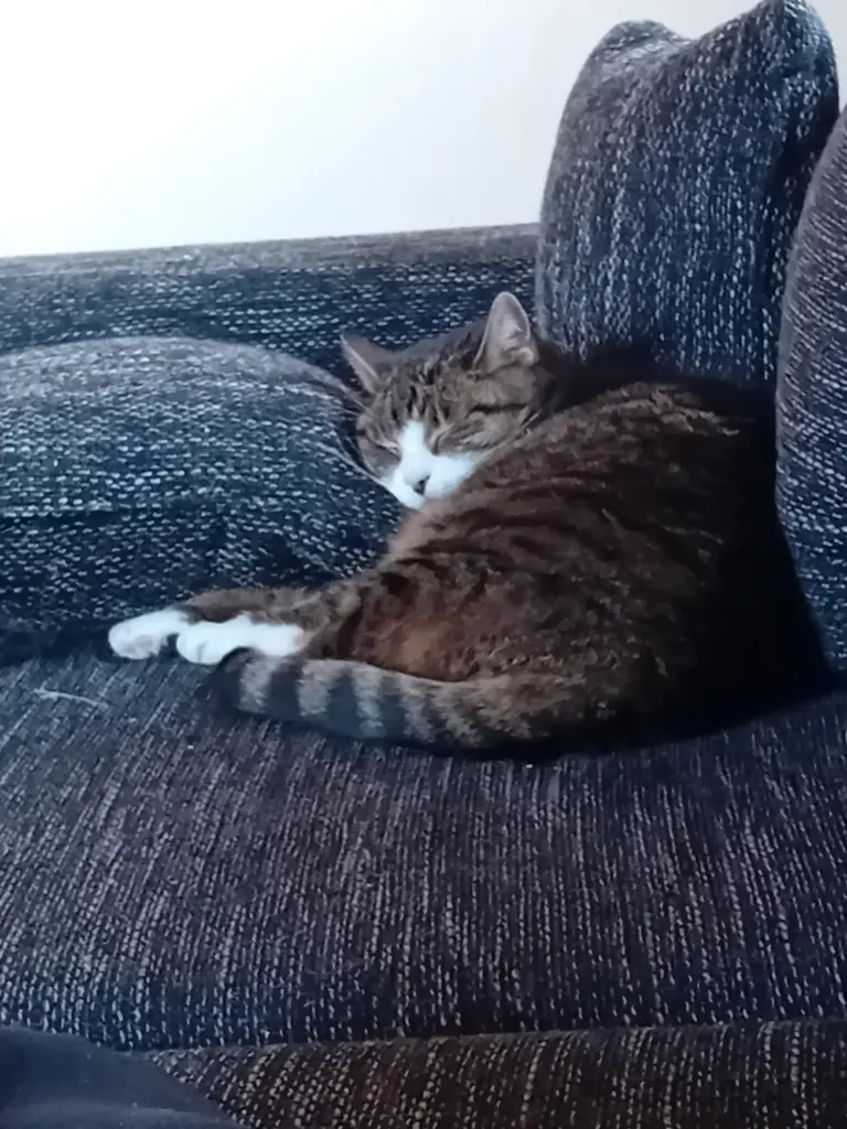 Bild von Cheeky