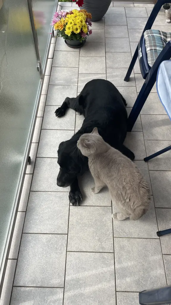 Best Friends ❤️