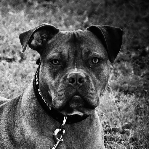 Bild von Tracy