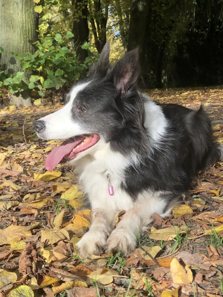 Bild von Lucy