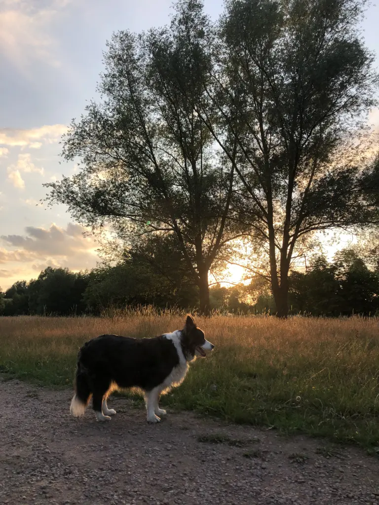 Bild von Lucy
