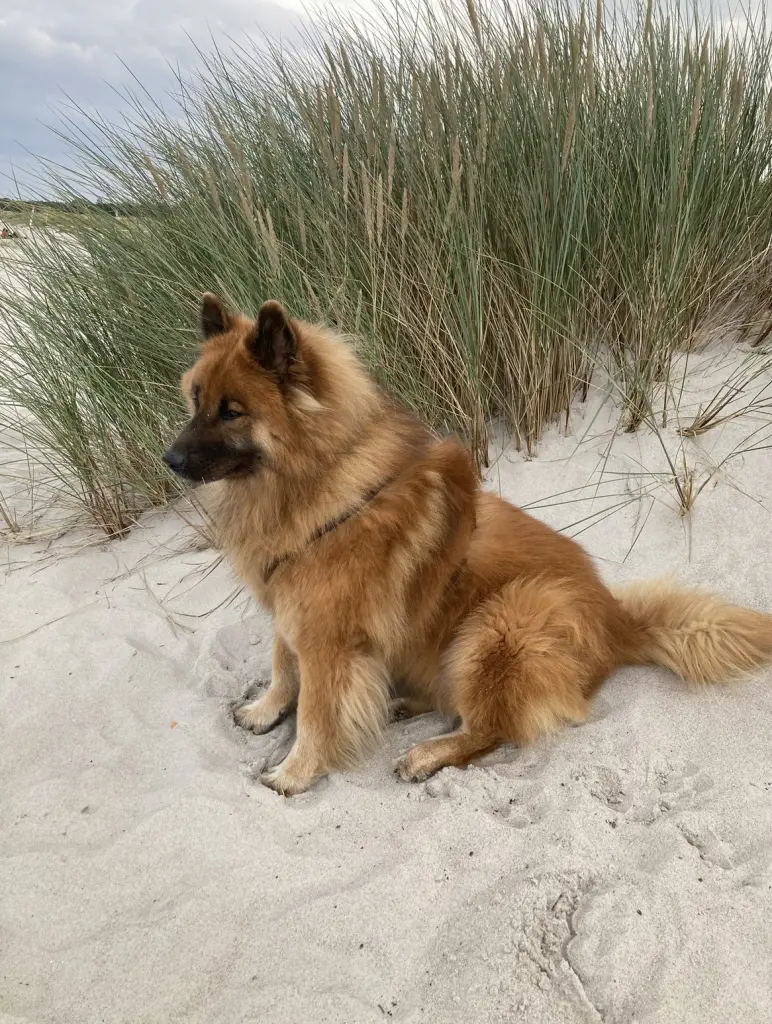 Ostsee-Urlaub 2025