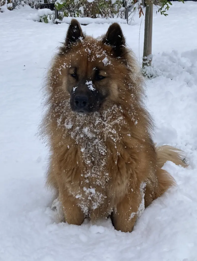 Winter im Erzgebirge