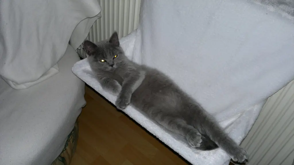 Image from Baby Xando - Mopsi
