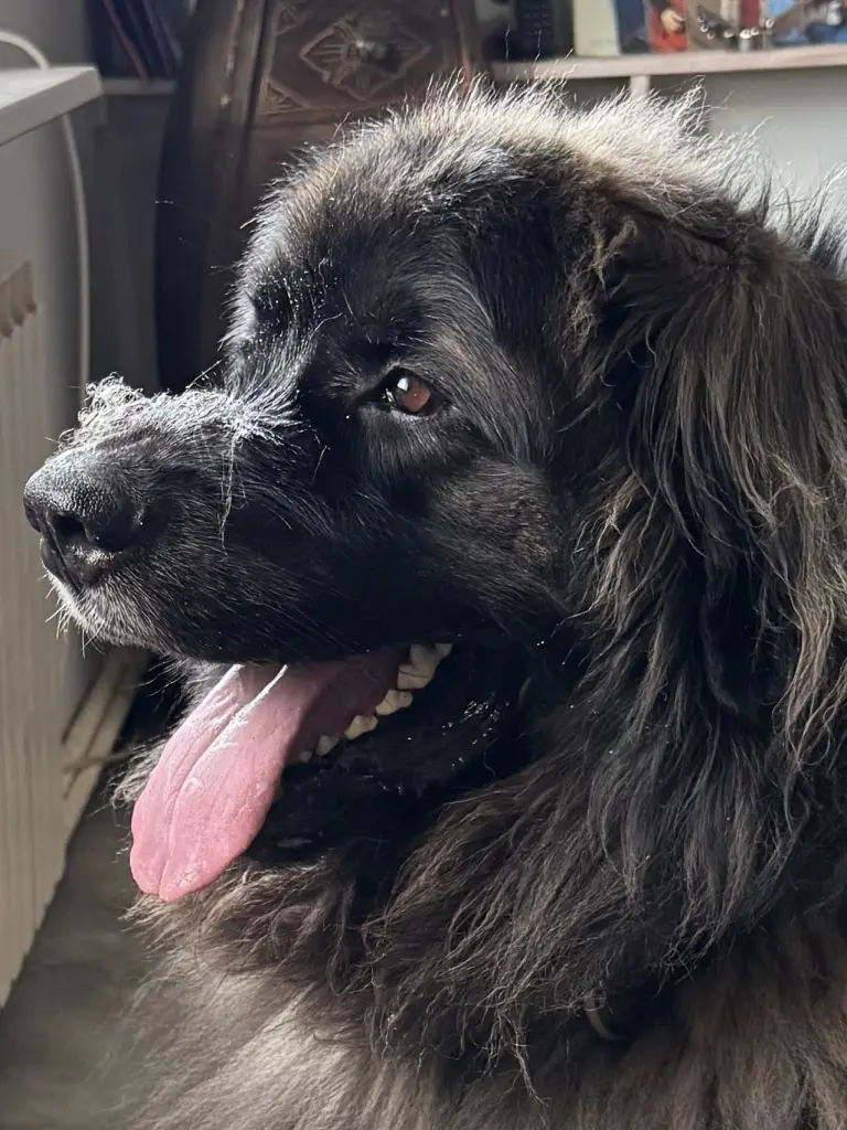 🥰