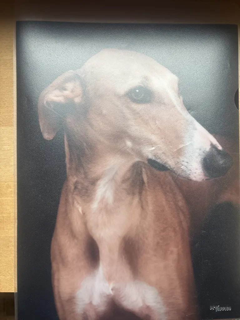 Bild von Aris