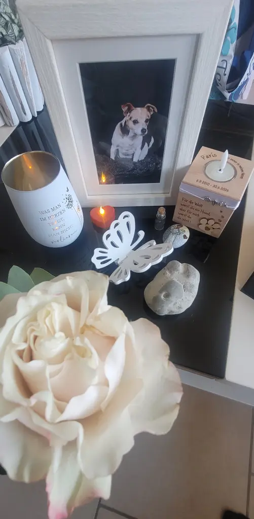Condolence image of Manuela
