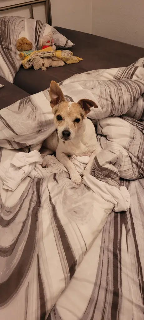 Im Bett mit deiner Mama kuscheln,  wir haben es geliebt