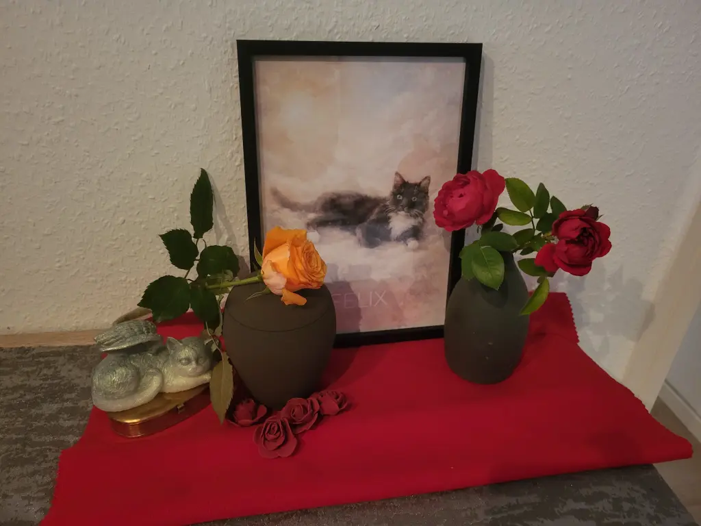 Condolence image of Andrea Klotz