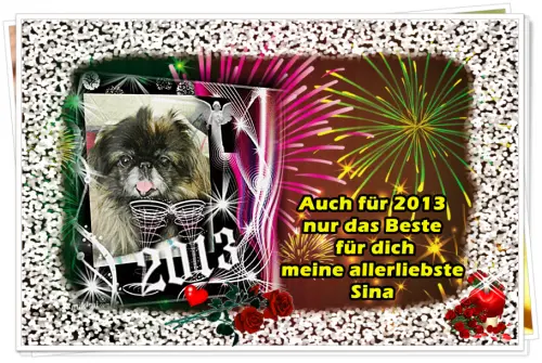 Image from meine Herzenshündin Sina