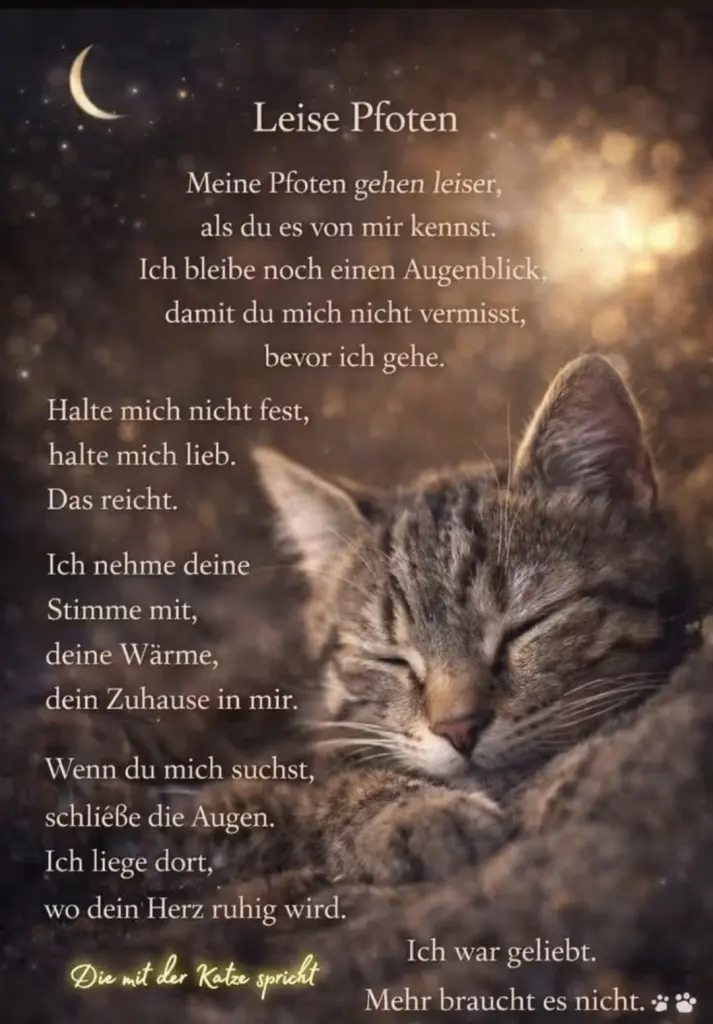 Condolence image of Deine dich liebende Familie