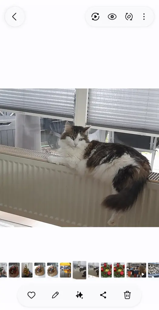Bild von Emilio