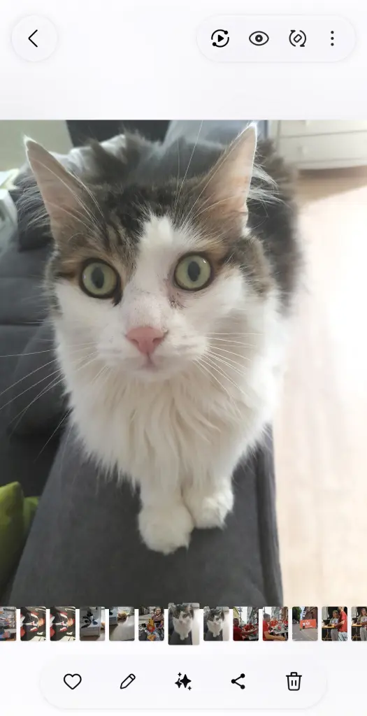 Bild von Emilio