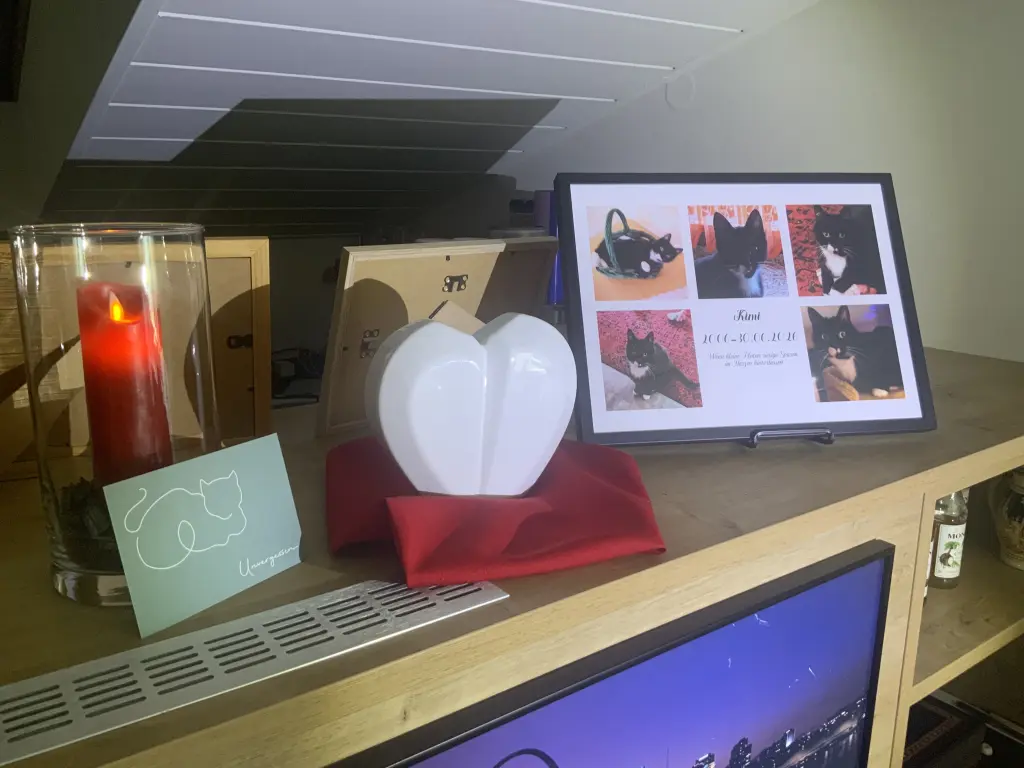 Bild von Kimi