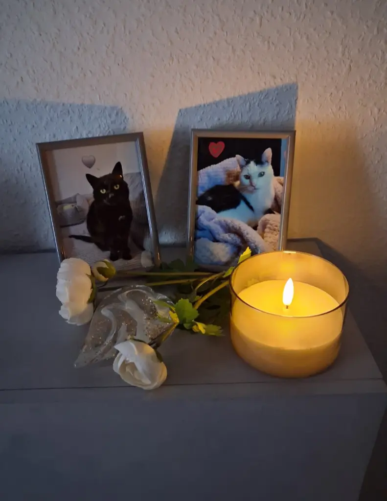 Condolence image of Deine Lieben