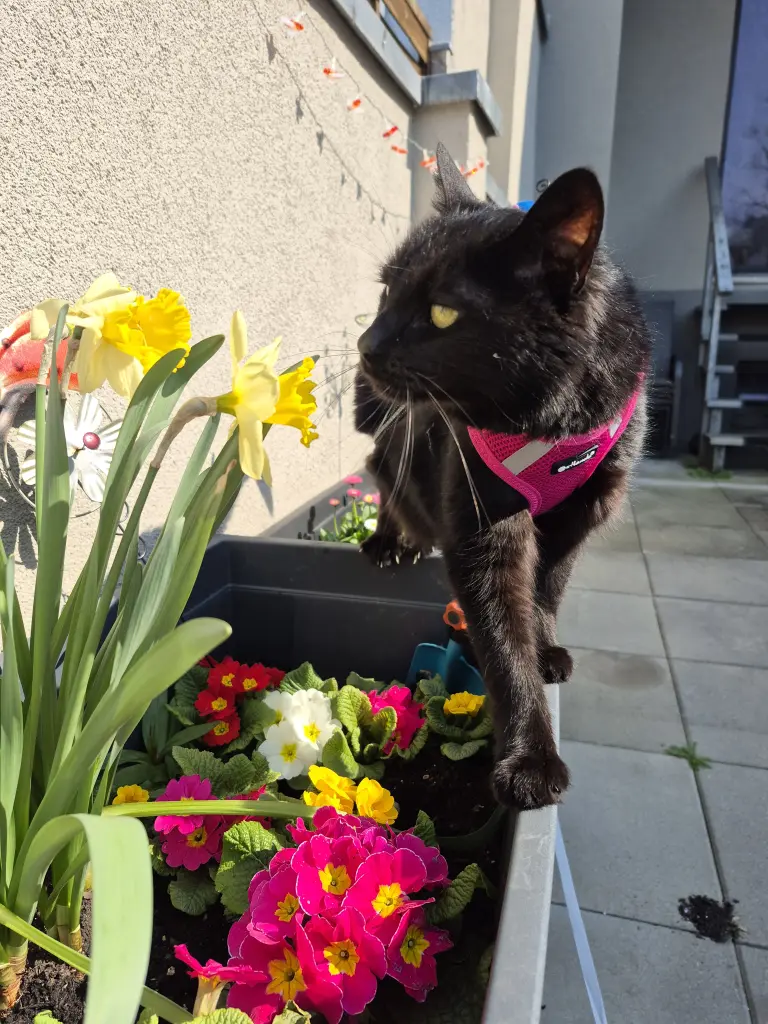 Bild von Sally