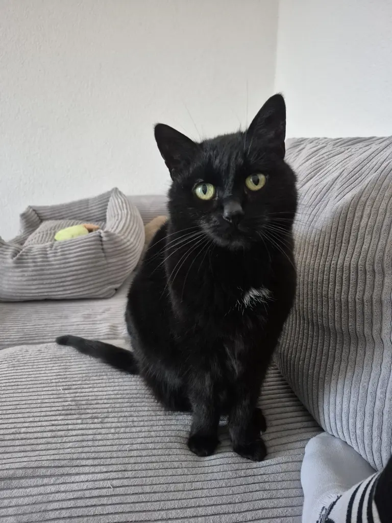 Bild von Sally