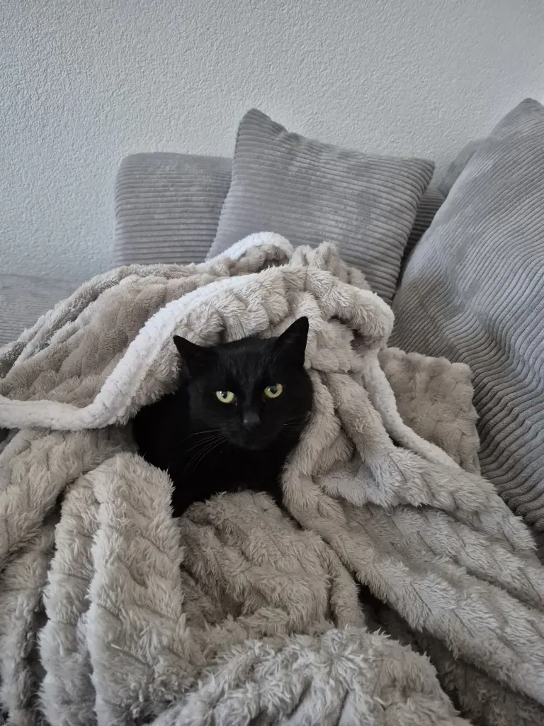 Bild von Sally
