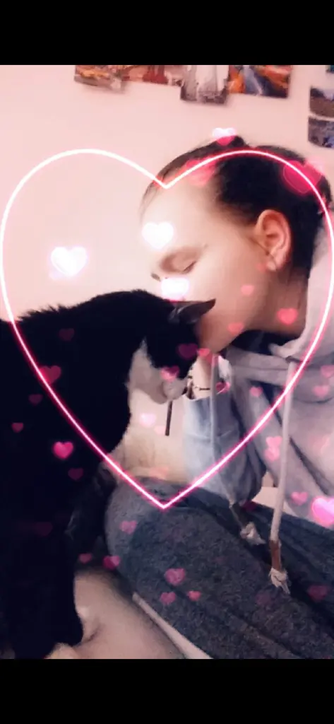 Eine liebe für immer❤️