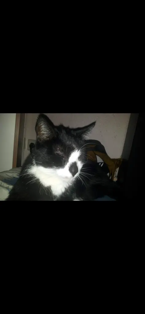 Bild von Flecky