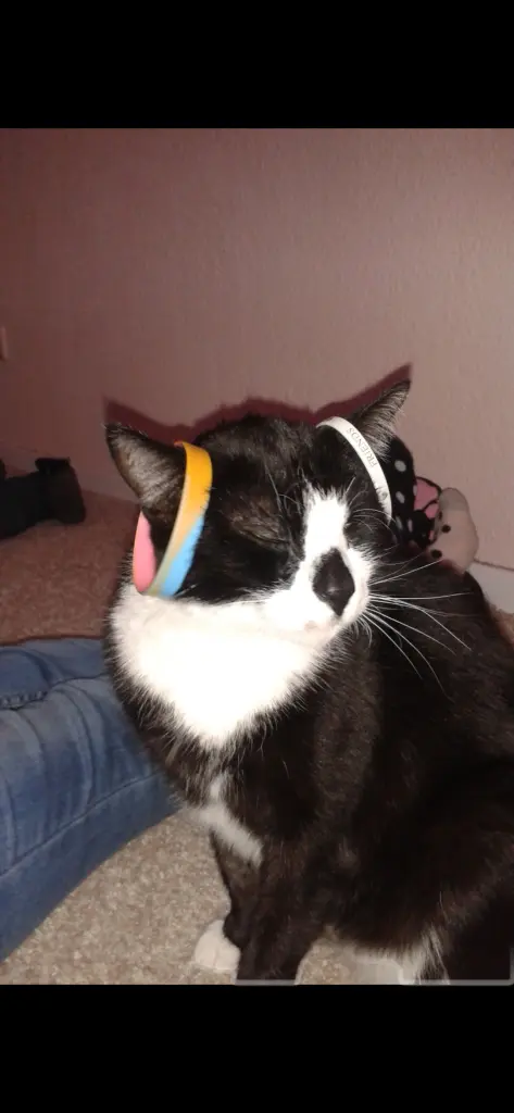 Für jeden Spaß zu haben 🥰😂❤️
