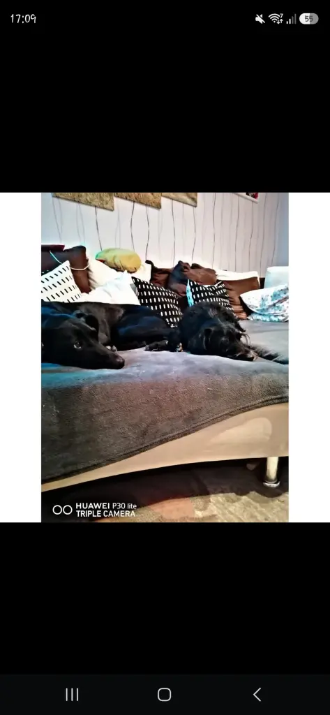 Image from Sunny